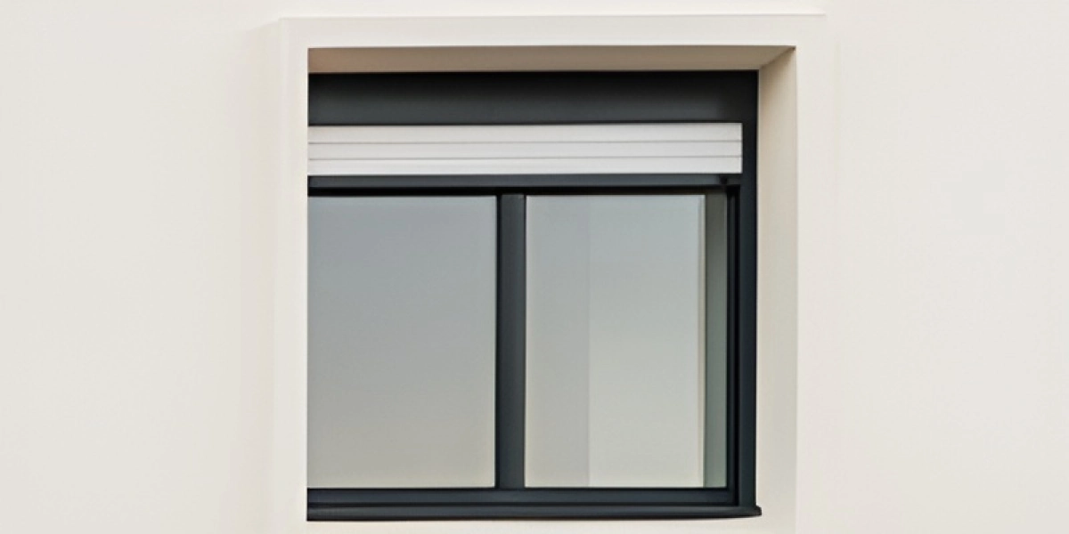 Fenetre Imagine Pose De Fenetre Nice Volets Roulants 4